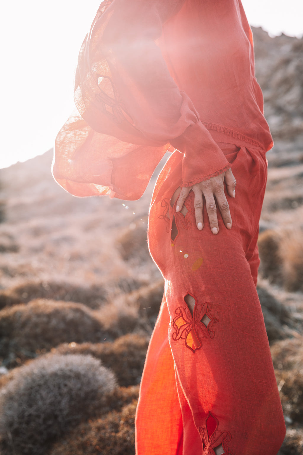 Embroidered pants