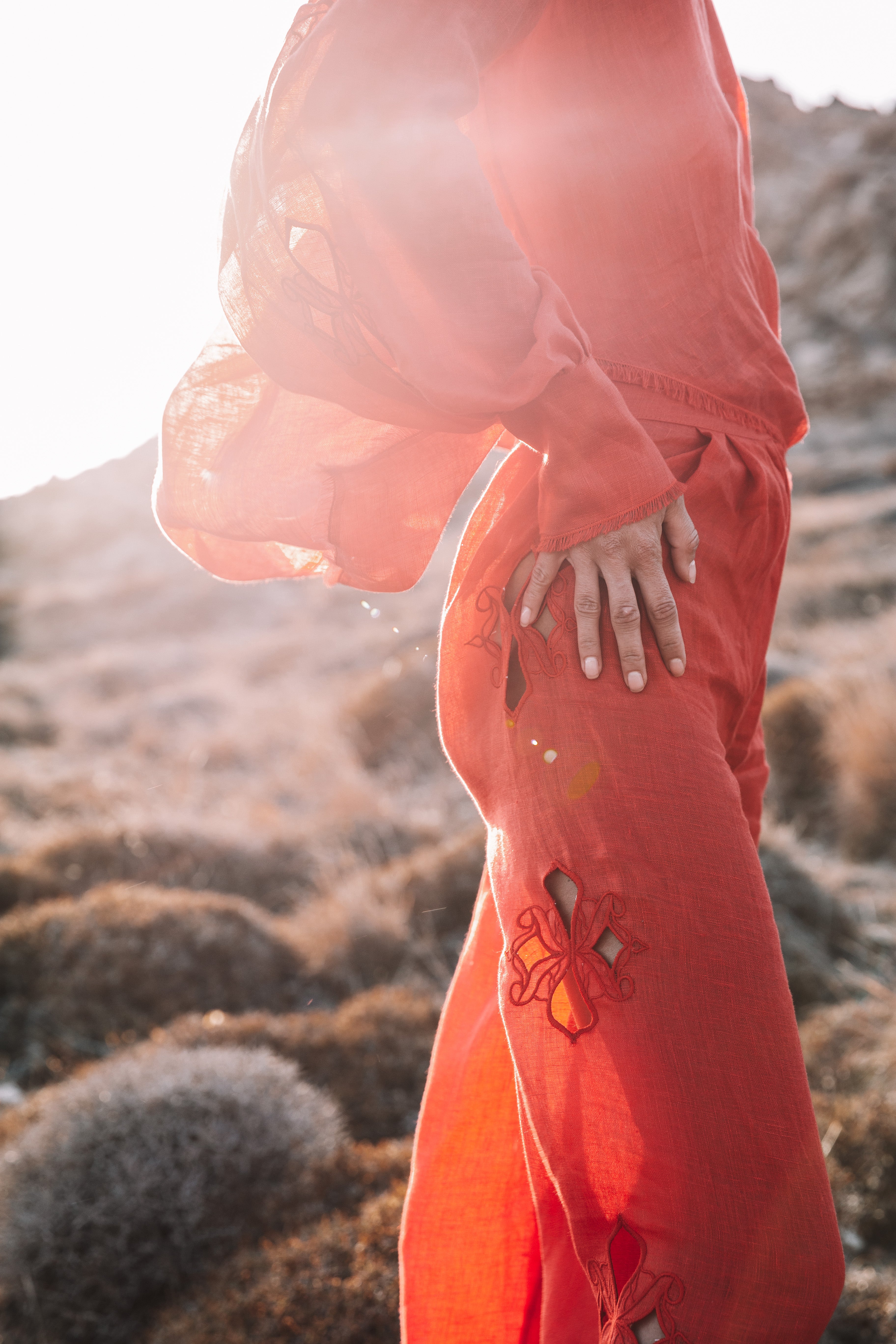 Embroidered pants